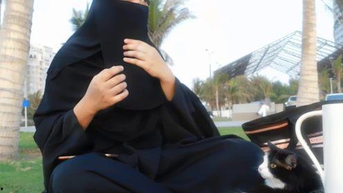 娱乐吃瓜君七七原视频